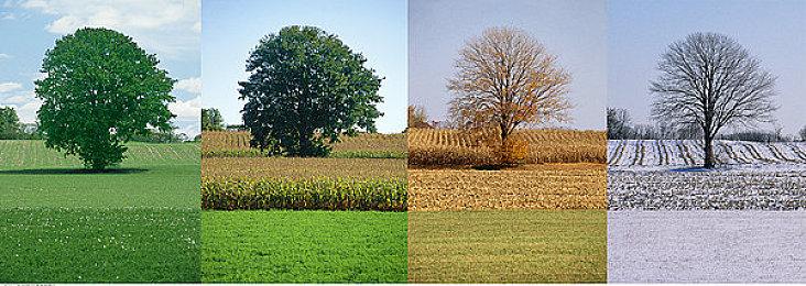 RPG新作《海贼王 时光旅诗》公布 原创故事、2022年发售